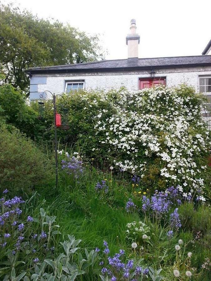 Gormanstown House Apt, The Island Tullamore Eksteriør billede
