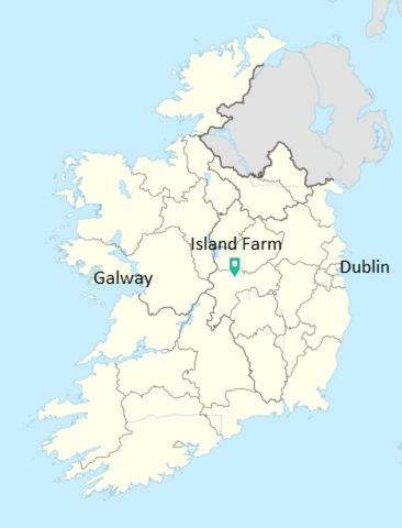 Gormanstown House Apt, The Island Tullamore Eksteriør billede